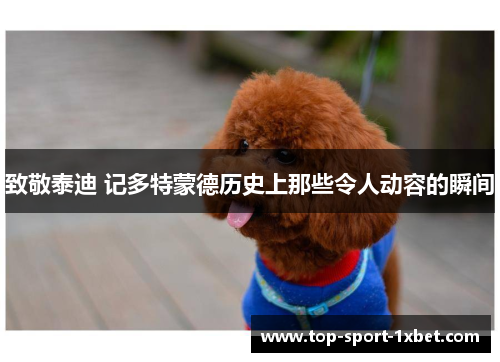 致敬泰迪 记多特蒙德历史上那些令人动容的瞬间 致敬泰迪 记多特蒙德历史上那些令人动容的瞬间