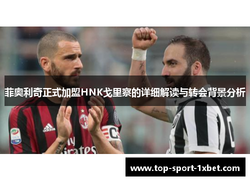 菲奥利奇正式加盟HNK戈里察的详细解读与转会背景分析