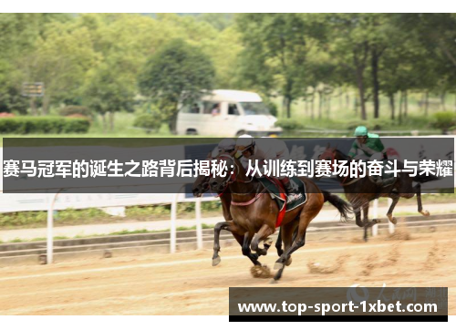 赛马冠军的诞生之路背后揭秘:从训练到赛场的奋斗与荣耀 赛马冠军的诞生之路背后揭秘:从训练到赛场的奋斗与荣耀