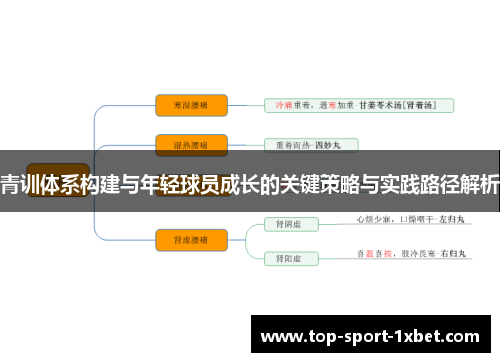 青训体系构建与年轻球员成长的关键策略与实践路径解析